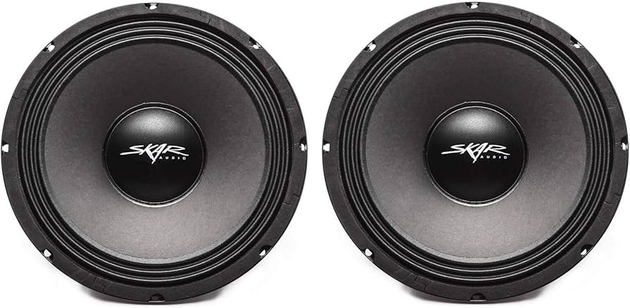 Image of Skar Audio, showcasing their high-quality construction and bass performance.